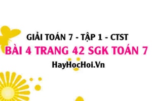 Giải bài 4 trang 42 Toán 7 Tập 1 SGK Chân trời sáng tạo
